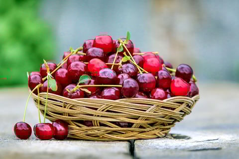 basket of juicy cherries from Provence