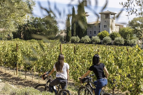 Biking in vineyards in wine domain and chateau