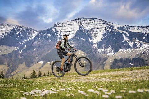 Mountain biking in the Alps with flowers and snow