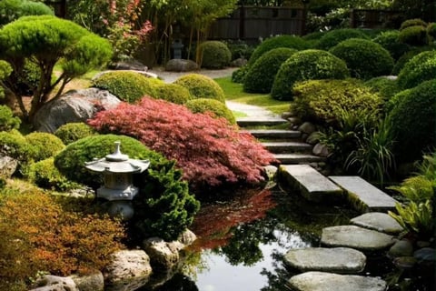 Japanese garden with water and stone lantern