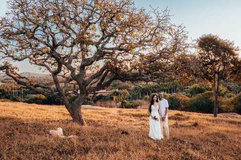 Fotografo de casamento BH