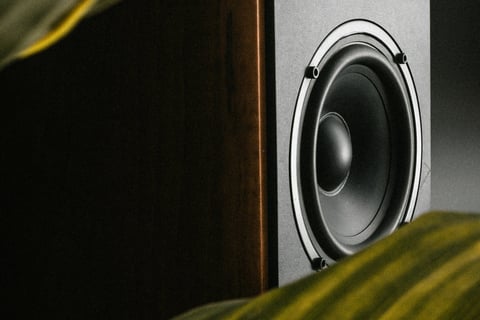 Premium wooden speaker with blurred leaves