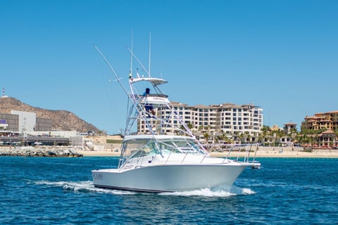 yate-pesca-cabo-express-31-los-cabos