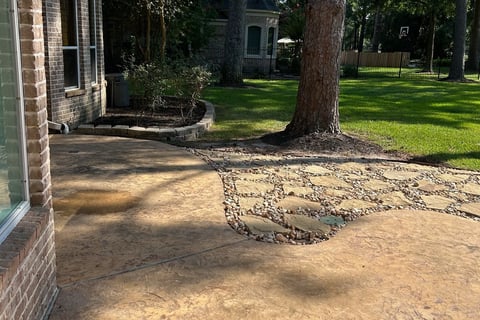 Concrete that has been Pressure and Soft Washed after heavy Mold and Dirt