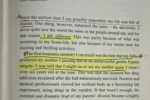 Zoe Falk's 2020 book recollecting Shannon Falk's death prediction at the hands of Bill Willitts