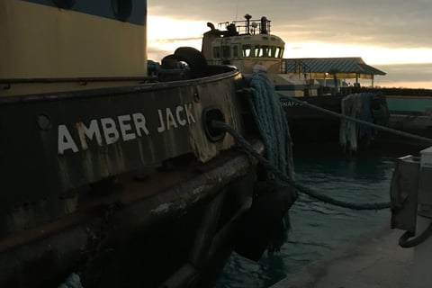 Amber Jack Bahamas