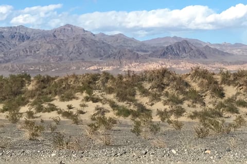 Death Valley Ca March 15, 2018