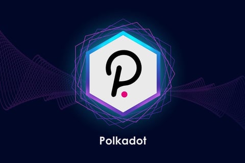 polkadot logo