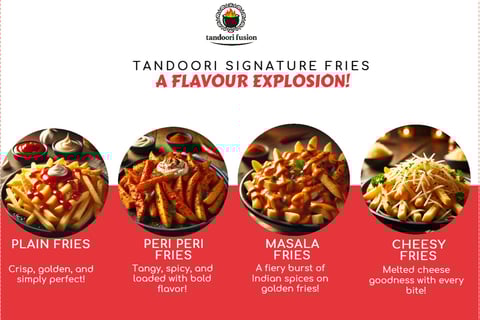 A vibrant spread of authentic Pakistani fusion street food from Tandoori Fusion in Wembley Park