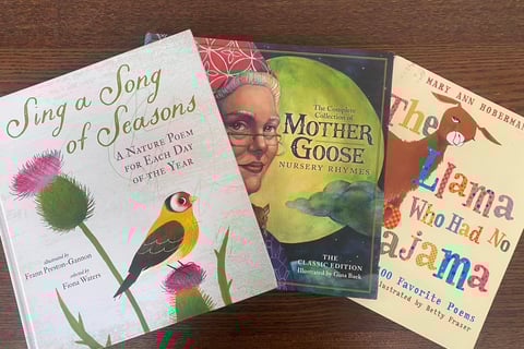 poetry book mother goose