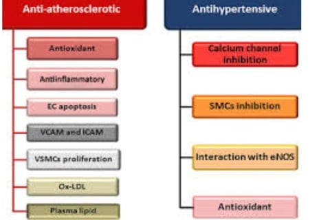 antihypertensive