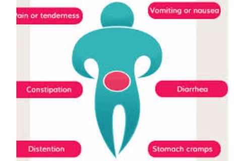 Emesis and Upper Digestive Tract Blockages