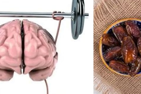 التمر باعتدال مهم لصحه الدماغ