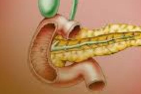 Emesis and Upper Digestive Tract Blockages