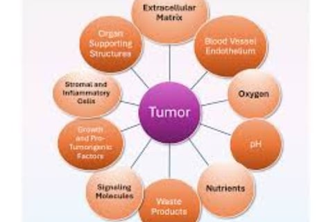 Fasting and Tumor Lysis Syndrome