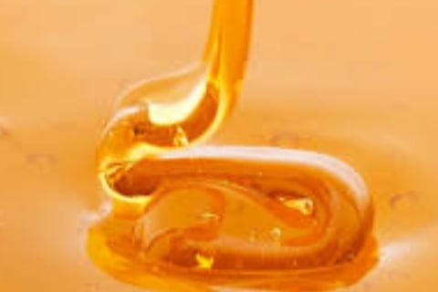Abdominal Paracentesis Diagnostic and Therapeutic honey