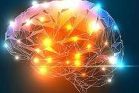 Boost Your Brain Power (1)