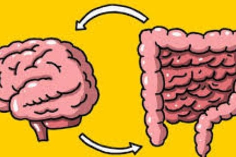 Boost Your Brain Power