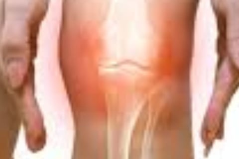 how to regenerate knee cartilage : Fasting