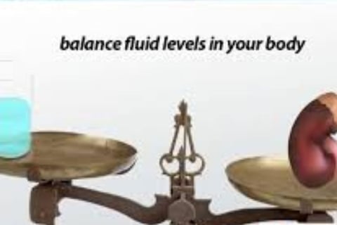 🥤🔬 Fluids & Fasting  The Science of Hydration and Kidney Function