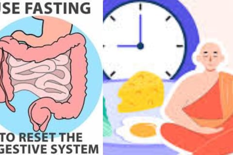 Fasting allowing your digestive system regular intervals of rest, you enable the gut to recuperate (