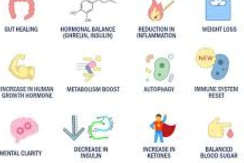 fasting induced autophagy