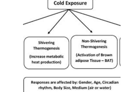 fever causes symptoms treatment Fasting honey cold water sun exposure and walking