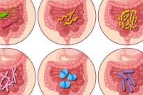 gastroenteritis