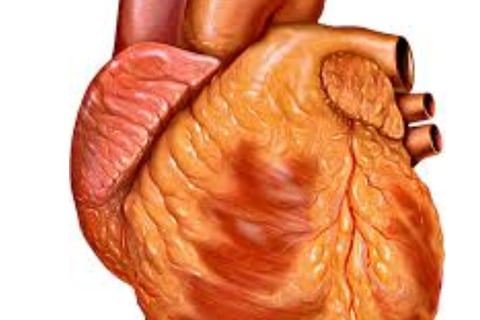 High heart index usually means that the heart has become enlarged