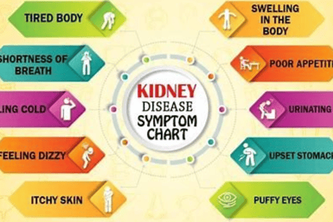symptoms of kidny disease