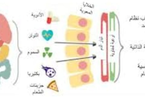 خطورة متلازمة الأمعاء المتسربة في عدة جوانب