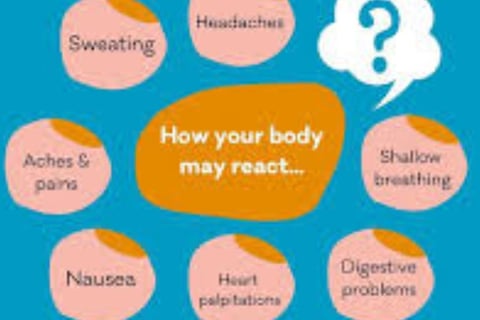 body react