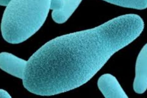 Botulism : A Serious but Preventable Disease