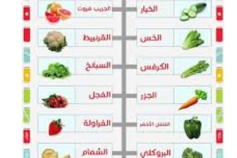الاكل المثالى