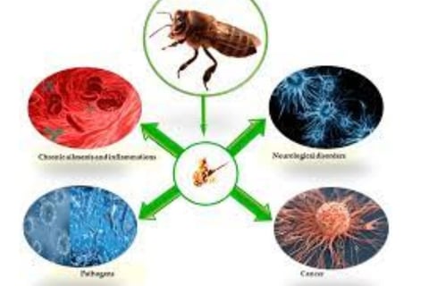 Bee Therapy : the Benefits and Uses of Bee Venom