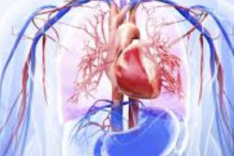 Voluntary Islamic Fasting for Arrhythmia