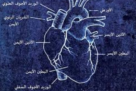 Voluntary Islamic Fasting for Arrhythmia