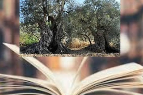 لصيام، والالتهام الذاتي، والخلايا الجذعية