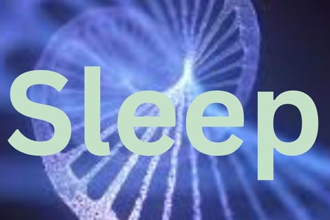 Optimize Sleep : Chronic Diseases , Medications and fasting