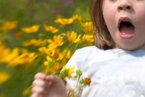 Golden Solution : recurrent respiratory infection