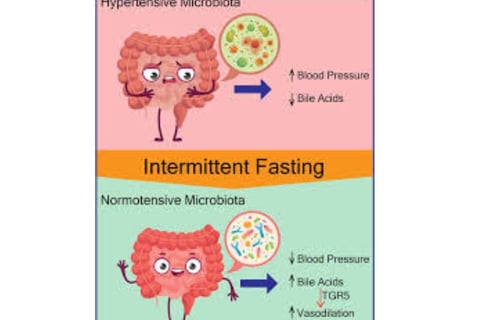The Impact of Microbiome, Fasting, and Probiotics on Cancer (4)