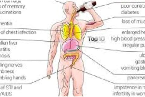 Alcohol in reality and in Islam