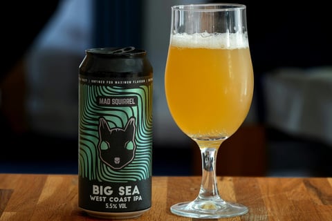 Photo by Brett Jordan: https://www.pexels.com/photo/a-glass-of-beer-next-to-a-can-of-beer-26954386/