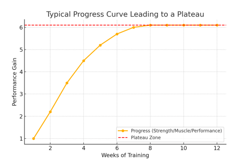 a typical workout program for a typical workout