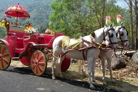 entry horse sarat vandi madurai