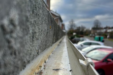 clean gutter