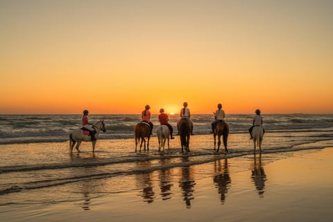 sunrise riding