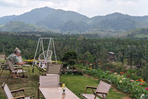 Hen Tae khao cafe, sawi Chumphon