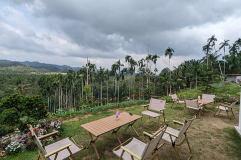 Hen Tae khao cafe, sawi Chumphon