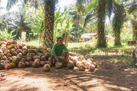 Sawi, Chumphon, dans les terres